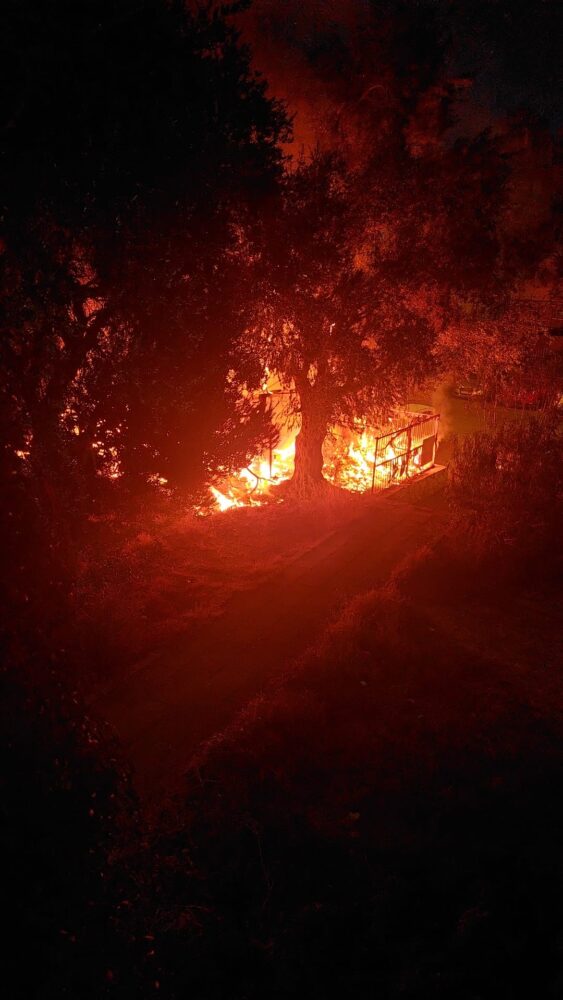 שריפה בטירת כרמל (צילום: כבאות והצלה לישראל)