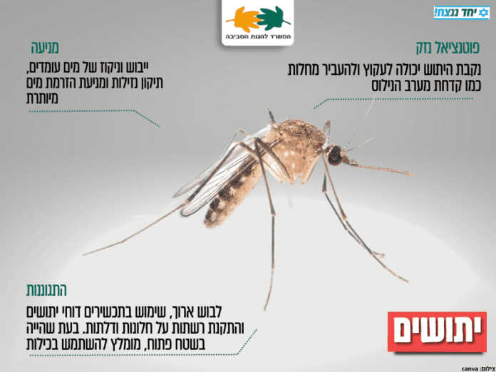 news_pictures_2023_mosquitoes