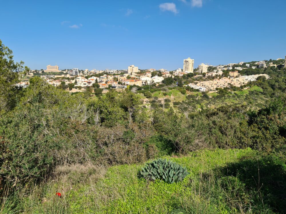 מבט מגבעת העיזים לעבר שכונת רמת אשכול (צילום: יעל הורוביץ)