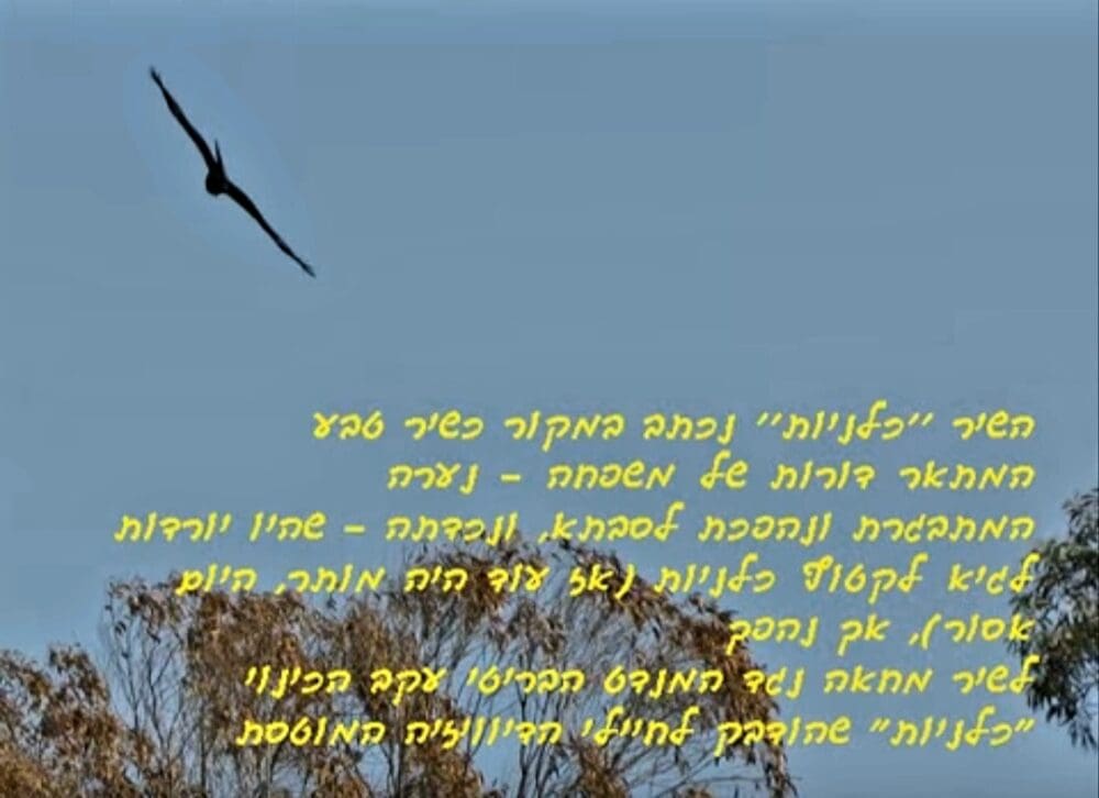 שמי יער בארי – והשיר "כלניות"(צילום: רחלי אורבך)