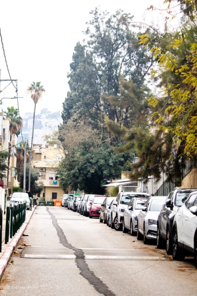מבט אל רחוב ברזילי, חיפה (צילום: סברינה דה ריטה)