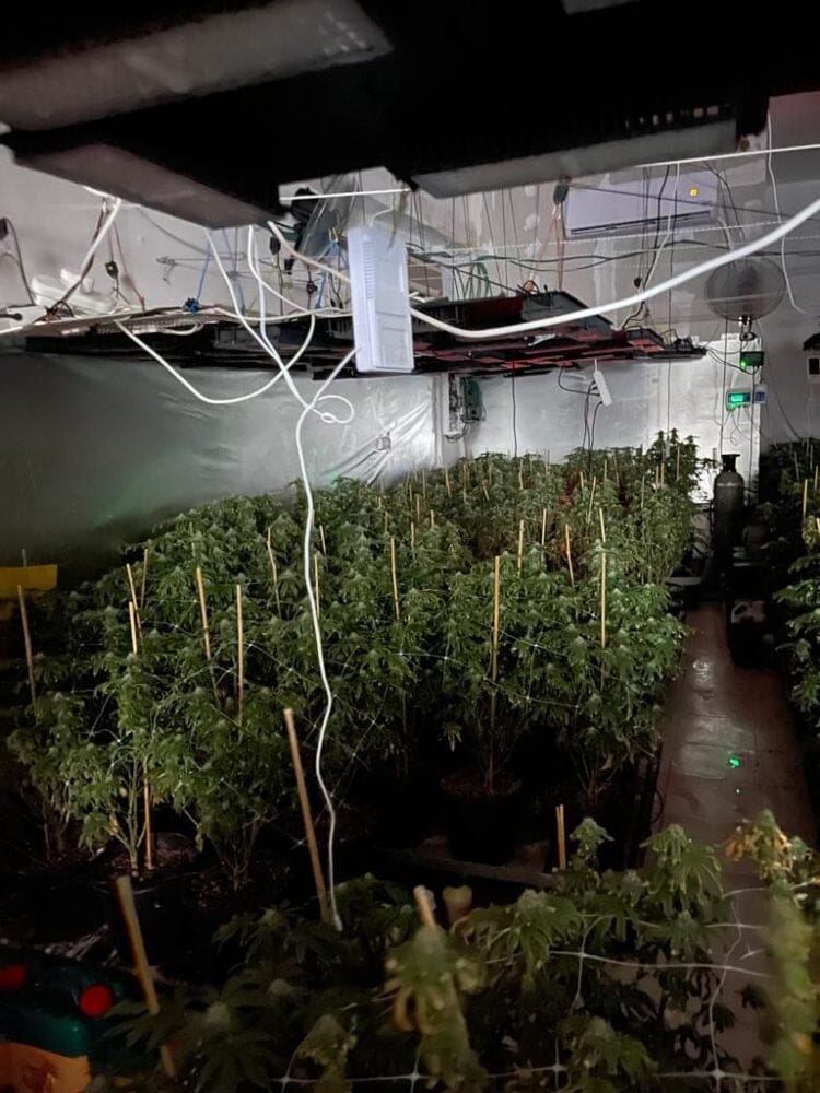 haipo news – drugs 230124 (3)
