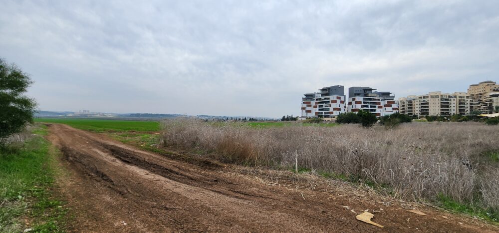 עבודות הקמת הכביש בין קריית ביאליק לכביש 79 יחלו תוך חודש ימים (צילום: קריית ביאליק)