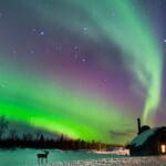 Firefly-the-northern-lights-as-a-background-of-lonely-hut-and-reindeer-43155