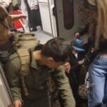 haipo news – train hit cows 170224 (1)