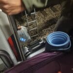 haipo news – train hit cows 170224 (2)