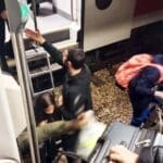 רכבת נתקעה באזור בנימינה עקב פגיעה בעדר פרות (צילום: סיגל שטרנברג)