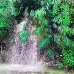 מפל המים ברחוב בית לחם בחיפה – נחל עליה (צילום: ירון כרמי)
