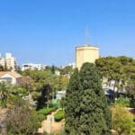 הנוף הירוק ממעונה של רותי גנץ (צילום: רחלי אורבך)