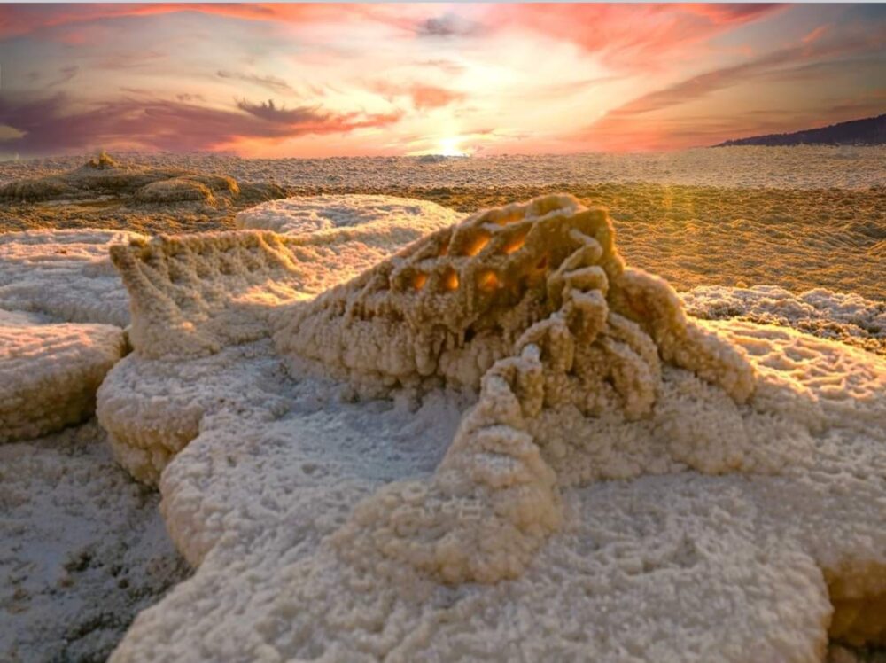 עוד מ"נפלאות ים המלח" צילום: אורי פרוינדליך