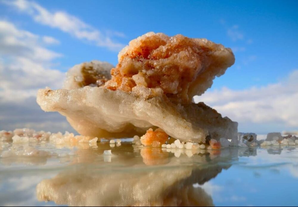 צילום מתערוכת "נפלאות ים המלח" (צילום: אורי פרוינדליך)