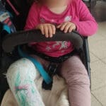 פעוטה נפצעה במהלך מפגש עם עבר חזירי בר בחיפה (צילום: ילנה)