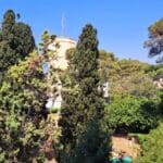 בבית נעמי זידמן – עצים, מגדל ונוף אורבני (צילום: רחלי אורבך)