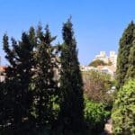 בבית נעמי זידמן – עצים ונוף אורבני (צילום: רחלי אורבך)
