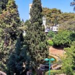 נעמי זידמן – מבט אל בריכת הדגים בגן שמואל (צילום: רחלי אורבך)