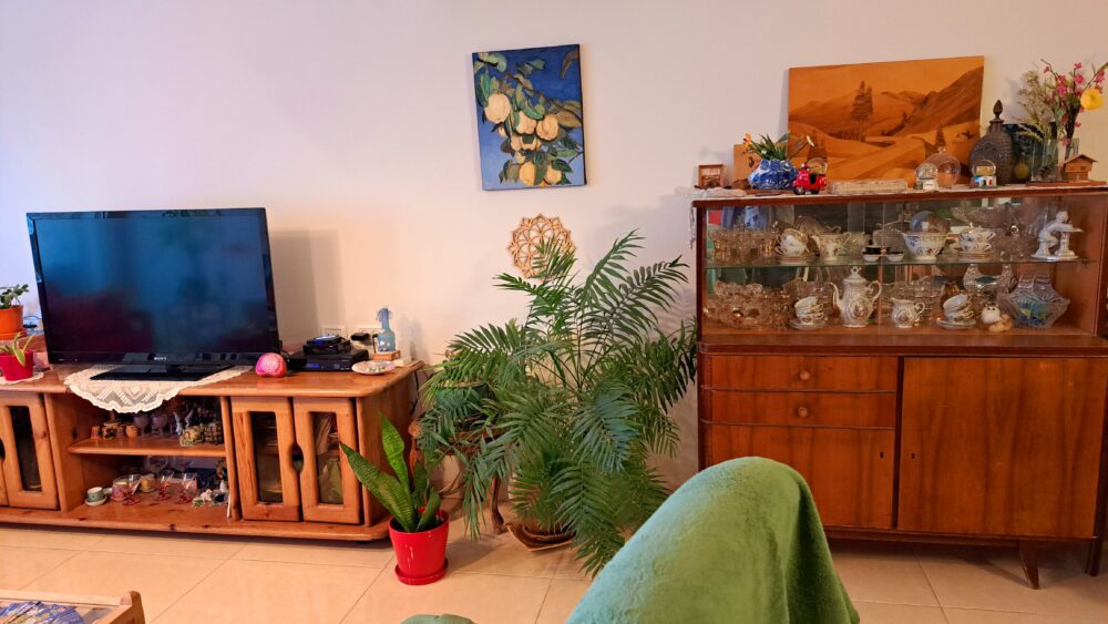 בבית דוד חבוב - מזכרותיה של אולגה ועציצים בחדר המגורים (צילום: רחלי אורבך)