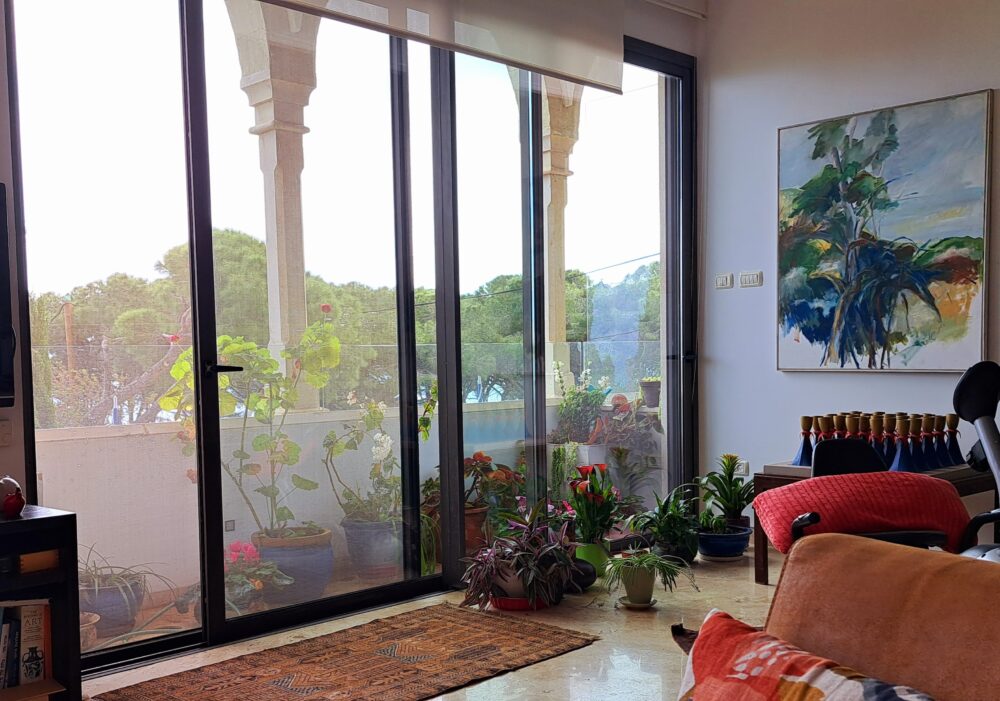 Рути Сигал – В своем доме: вид на уличную и комнатную растительность (Фото: Рахели Орбах)