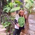רותי סגל – כל עבודות הגינון כולן, נעשות  על ידי בעלת הבית (צילום: רחלי אורבך)