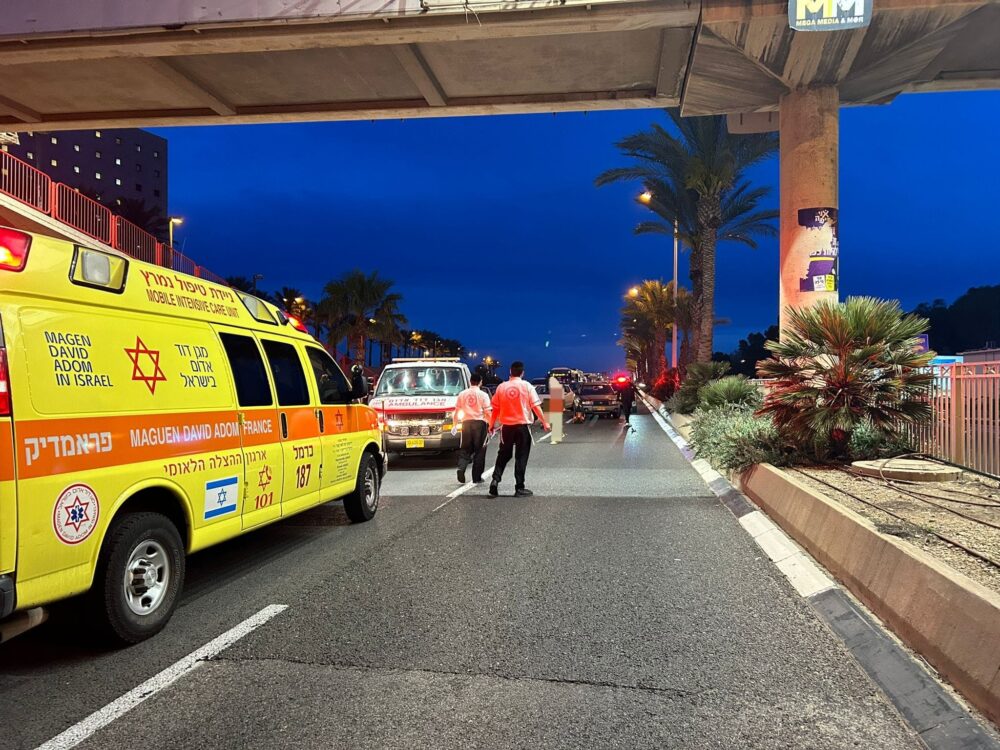 זירת תאונה עם חזיר בר בחיפה - רוכב אופנוע נפצע באורח בינוני (צילום: מד״א)