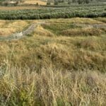 haipo news – Abudia national park 290424 (3)