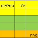 הנהלת תאגיד מילב