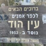 עין הוד – כפר האמנים (צילום: ירון כרמי)