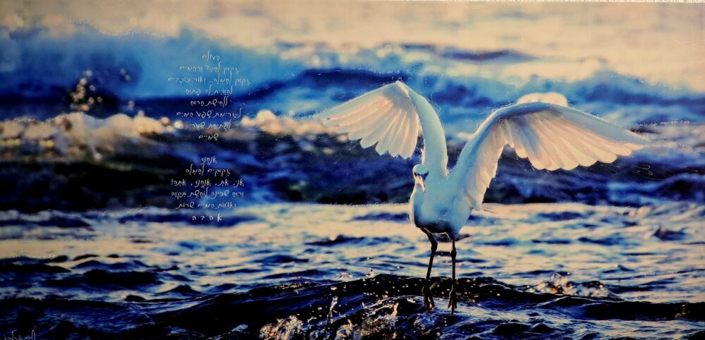 חגית אוזלבו - "העולם זקוק לרחמים" - בתערוכת "מורידים את המים" (צילום: רחלי אורבך)