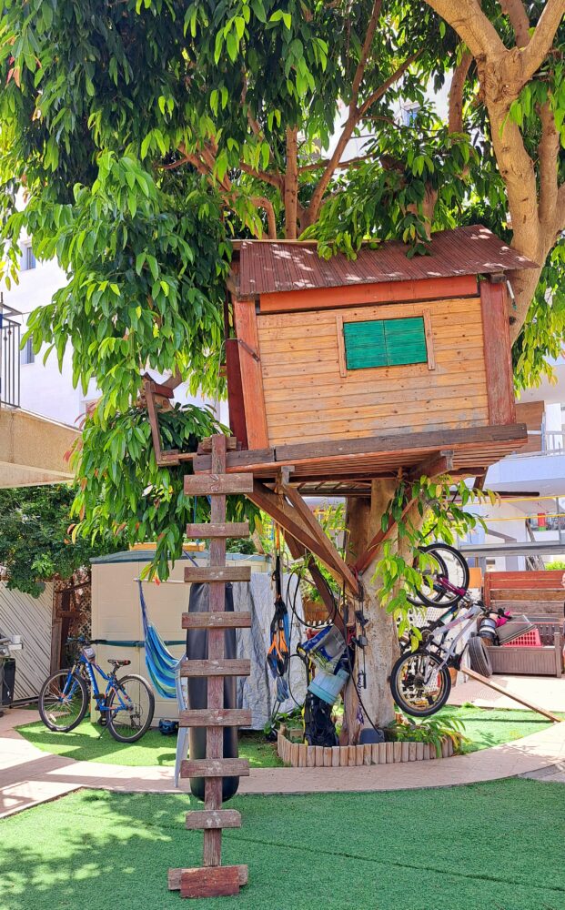 בחצר יוסי ברגר -הבית שעל העץ, סולם ואופני רכיבה (צילום: רחלי אורבך)