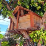 יוסי ברגר – הענף המשתלב עם הבית שעל העץ (צילום: רחלי אורבך)