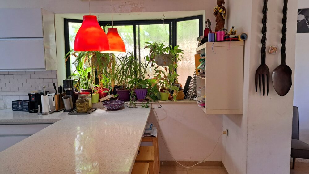 בבית יוסי ברגר - החלון אשר במטבח (צילום: רחלי אורבך)