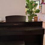 בבית יוסי ברגר – הפסנתר (צילום: רחלי אורבך)