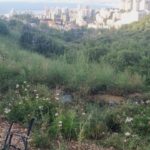 haipo news of haifa sewage 120524 (4)