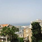 בית חנה יפה – עצי וושינגטוניה ונוף אל הים (צילום: רחלי אורבך)