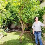 חנה יפה – בגינת ביתה (צילום: רחלי אורבך)