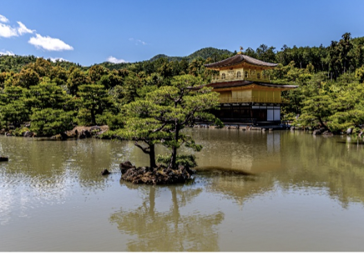 יפן - ארץ של כבוד, נחישות ואסתטיקה (צילום: אבי אלבאום)