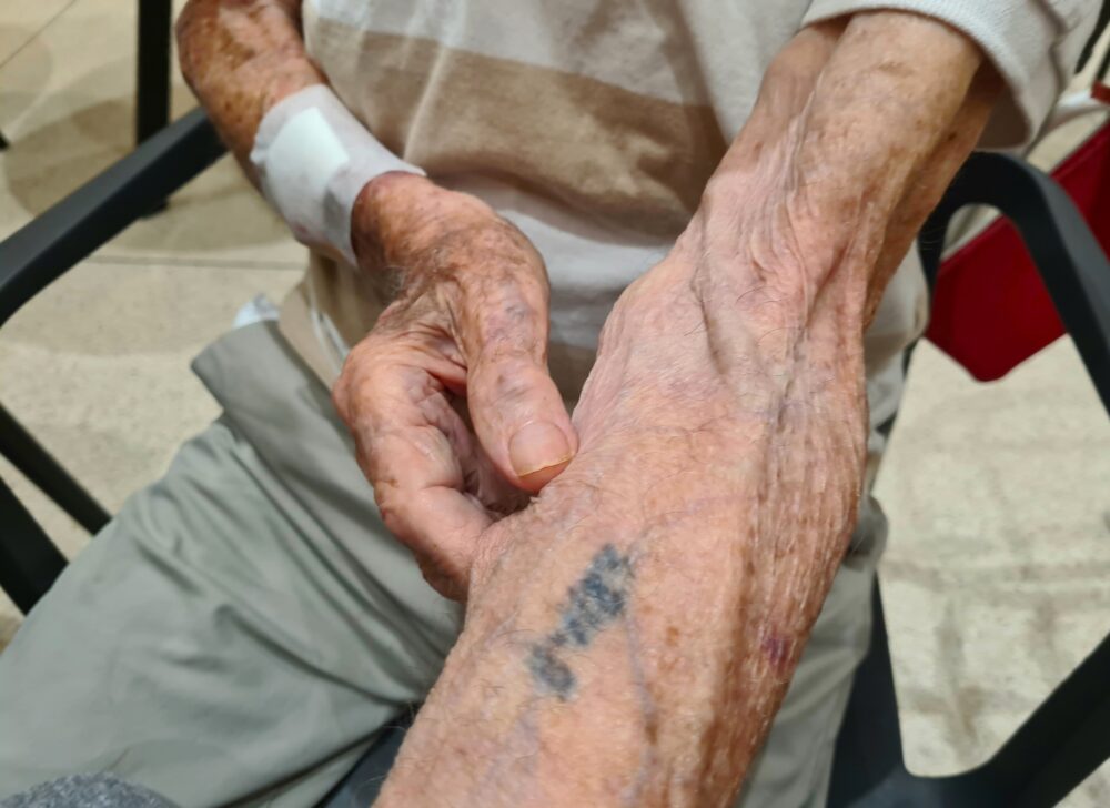 Avraham Ari shows the number tattooed on his arm, 1183 B= (Photo: Yael Horowitz)