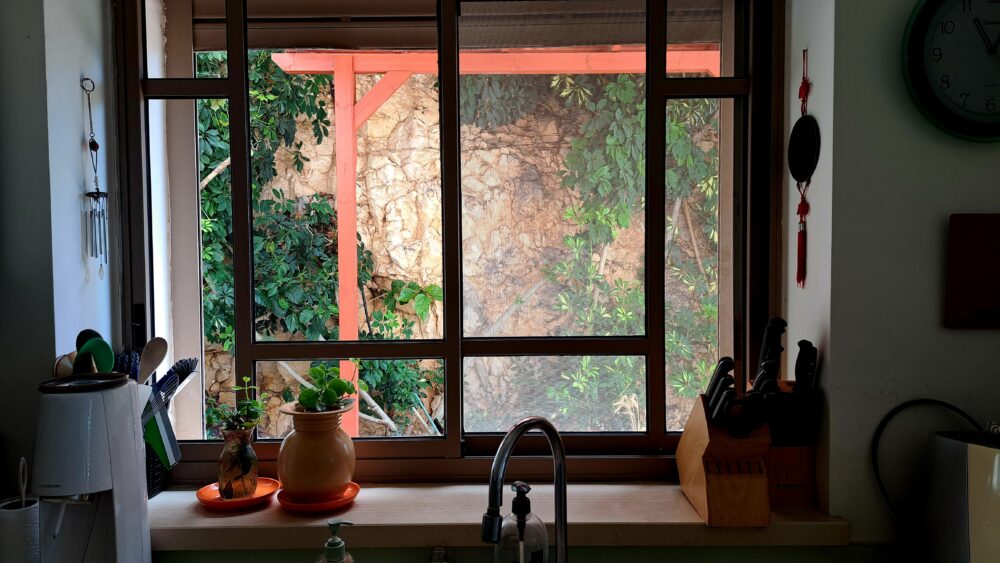 בבית דב פוקס - נוף חלון המטבח (צילום: רחלי אורבך)