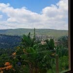 בבית דב פוקס – הנוף הפסטורלי של שטח הגן הלאומי פארק הכרמל (צילום: רחלי אורבך)