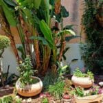 בבית דב פוקס – פינה ירוקה בחצר האחורית (צילום: רחלי אורבך)