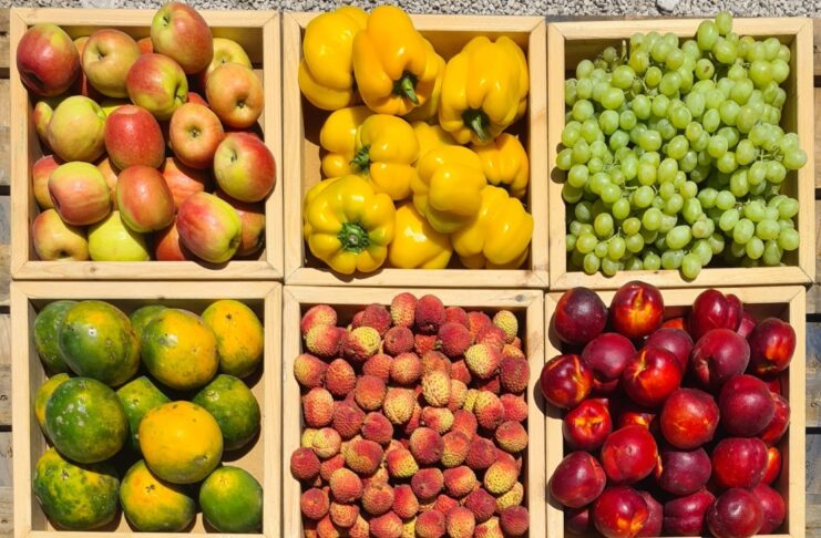 ירקות ופירות (צילום: הענתיות)