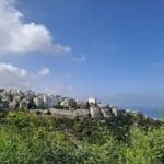 כרמליה (צילום: סמר עודה כרנתינג'י)