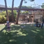 גן משחקים גן האם – נדנדות- (צילום: סמר עודה כרנתינג'י)