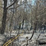 haipo news of haifa fire 250724 (1)