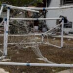 haipo.news-beeri150724 (13)