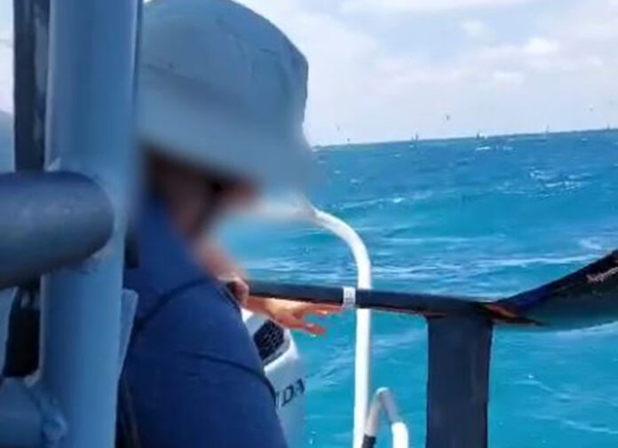 שוטרי השיטור הימי בחיפה הצילו גולש ווינג שהיה בסכנה בלב ים (צילום: משטרת ישראל)