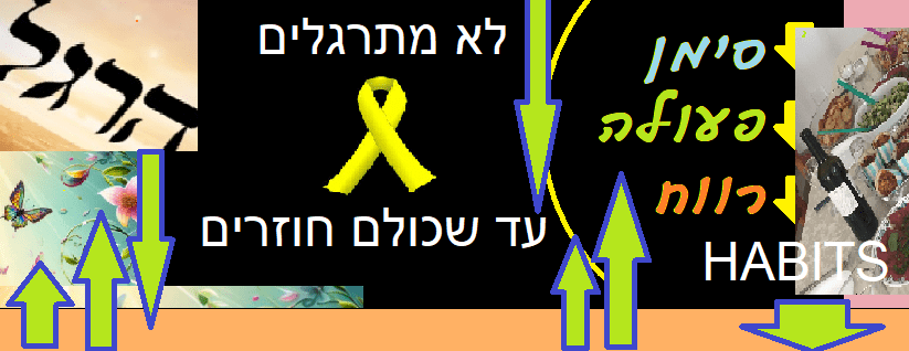 הרגלים (צילום: תמי גולדשטיין)