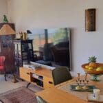 בבית גבי זהר – פינת הטלוויזיה אשר בסלון (צילום: רחלי אורבך)