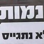 "סולידריות" חרדית