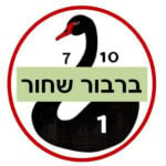 ברבור שחור – יצירת AI מאת יורם כץ