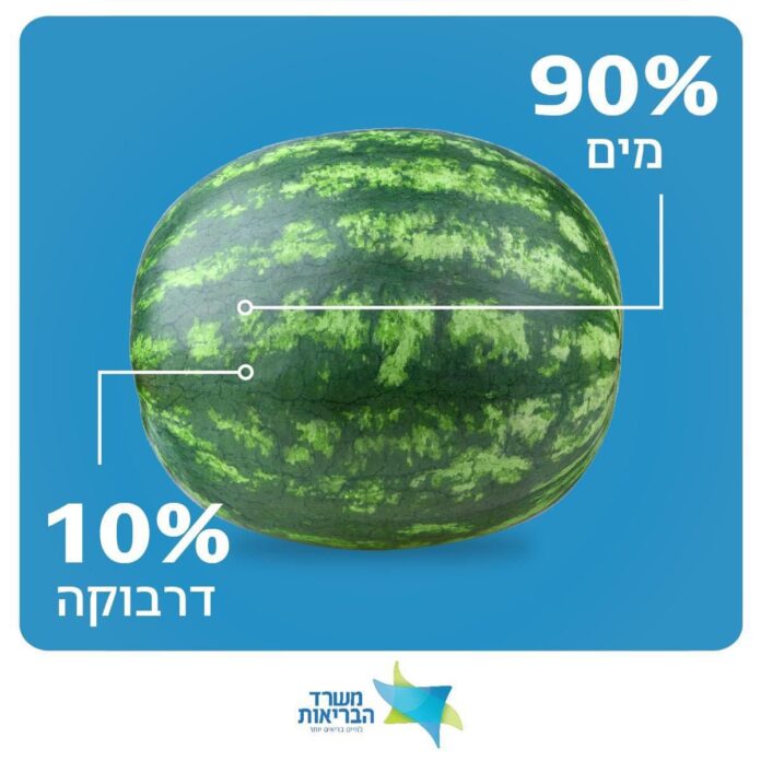 אבטיח (צילום: משרד הבריאות)